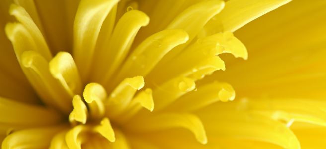 heal by soul blog - rethink